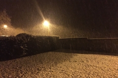 neige_2018-11-19_03