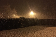 neige_2018-11-19_05
