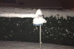 neige_2018-11-19_18