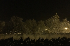 neige_2018-11-19_20